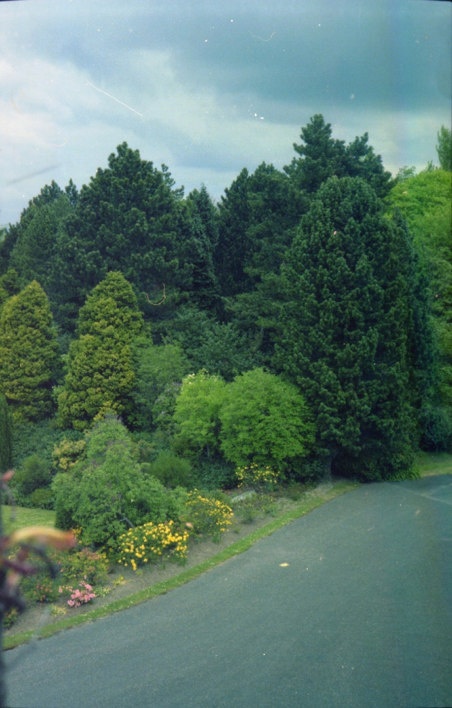 19790000-1982 SLALEY HALL 02.jpg